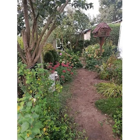 Holiday Home With 1 Bedroom Nyaraló