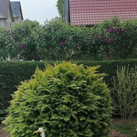 Holiday Home With 1 Bedroom * Plau am See